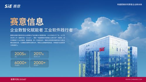 賽意信息入選2024行業(yè)軟件企業(yè)活力與服務力Top30，彰顯北京信息技術咨詢服務實力
