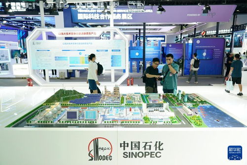 第二十六屆北京科博會開幕 信息技術咨詢服務引領科技新風尚