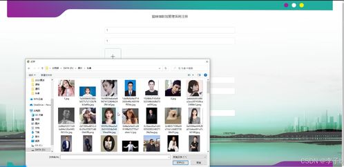 Spring Boot + Vue 貓咪咖啡館管理系統(tǒng) 技術融合與界面設計的現(xiàn)代化探索